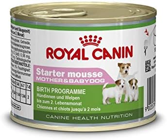 royal canin starter amazon