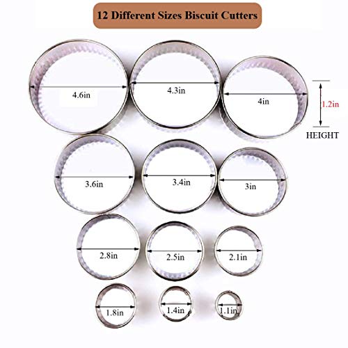 Dflowerk 12 Circle Cookie Biscuit Cutter Set Pastry Cutter Premium 304 Stainless Steel Ring Baking Mold For Dough Donut Scone (Wave Edge) #TOP6
