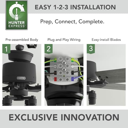Image of Hunter Techne, Indoor, Ceiling Fan, Smart, Quiet, 52 inch, Matte Black