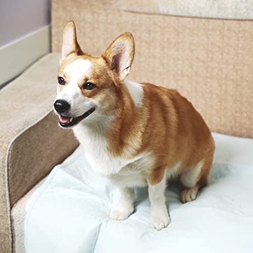 Avont Washable Pee Pads For Dogs, 2 Pack Reusable Puppy Pads Waterproof Pet Whelping Pad, 18" X 24" Highly Absorbent Potty Training Incontinence Mat For Crate Playpen Kennel #TOP2