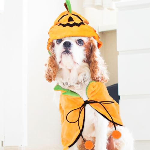 Disfraz Halloween para mascotas capa y sombrero 2 piezas miniatura 6
