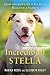 Incredibull Stella: How the Love of a Pit Bull Rescued a Family