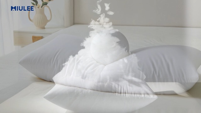 Amazon.com: MIULEE 12x24 Synthetic Down Alternative Pillow Insert