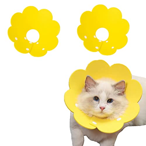 猫用健康管理用品 エリザベスカラーの人気商品 通販 価格比較 価格 Com