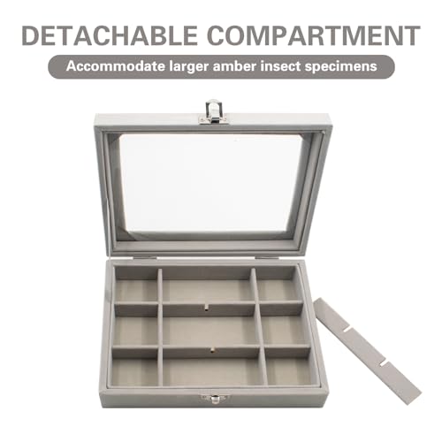 Image of Insect Resin Specimen Box with 12 Grids, Clear Top Insect Specimen Storage Box for Biology Science (Box Only), Grey