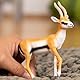 SCHLEICH 14861 Thomson Gazelle, für Kinder ab 3+ Jahren, WILD Life - Spielfigur, Alte Version