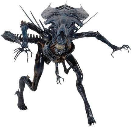 Amazon | NECA Aliens - Xenomorph Queen 