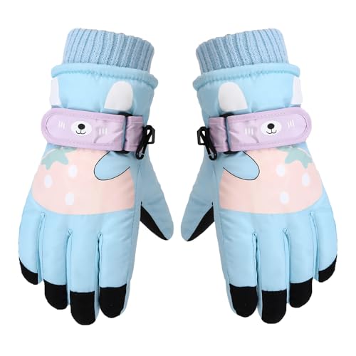 [Dnxskt] �X�L�[�O���[�u �L�b�Y �~�p �q���p ��� 5�{�w ������ �L�����N�^�[ ���� �X�m�[��� �X�m�[�O���[�u �h�� �h�� ���� �ۉ� ����~�� �g���� �X�L�[ �ʊw �o�R ���]�� �A�E�g�h�A �j�̎q ���̎q ��V�� �����x���g�t�� �����h