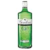Gordon's Special London Dry Gin