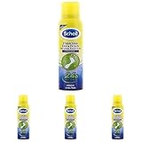 Scholl