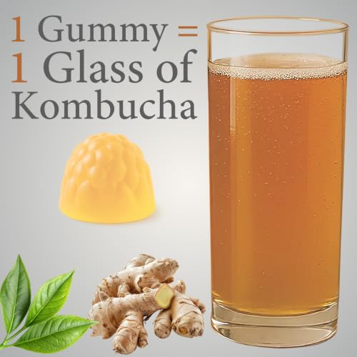 MATOP Kombucha Probiotic Gummies for Women – 6 in 1 Prebiotic Postbiotic Vitamin C & Slippery Elm for Bloating, Gut Health & Digestive, Vegan Sugar-Free, 60 Gummies (30 Servings) — view 4