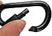 LeBeila LBL-DKEQE-2909 Carabiner Aluminum Screw Locking Spring Clip Hook Outdoor D Shaped Keychain Buckle for Camping, Hiking, Fishing (Black)