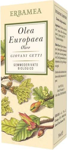 Olea Europea Olivo 50 Ml