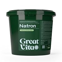 GREAT VITA – GreatVita Natron Pulver 10kg Eimer Lebensmittelqualität E500