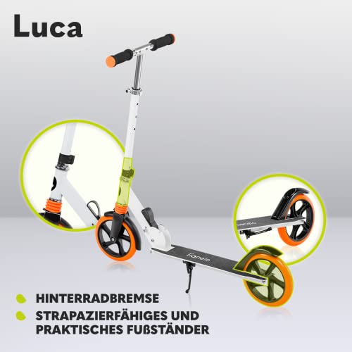 Cityroller Lionelo Luca Plus für Kinder und Erwachsene im Vergleich