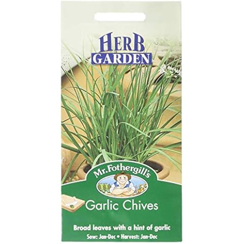 Mr Fothergill's Garlic Chives Herb Seeds Cover