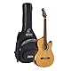 Ortega Guitars Konzert Gitarre Elektro-Akustisch – Slim Neck, Thinline Body – Signature Series – Inklusive Gig Bag und Schutzfolie – Massive Rotfichte, Walnuss, Natur (FLAMETAL-TWO)