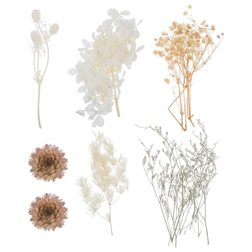 ZUNOXAZ Wp^hCt[Zbg VRԑf Ԃт Ntgp DIYtHgt[ nhChANZT[