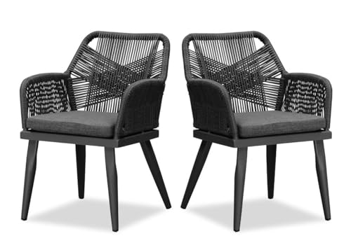 PURPLE LEAF Lot de 2 Chaises de Salle à Manger en Aluminium, Résistantes aux UV, Grand Teint, Chaises en Osier, Adaptées à Une Utilisation dans Les...
