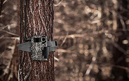 Spypoint Link-Micro-Lte Cellular Trail Camera With Steel Security Case (Link-Micro-Lte-V) #TOP4
