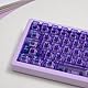 114 Tasten Transparente Tastenkappen PC Cherry Profil Tastenkappen Set Fit für 60% 65% 75% Cherry Mx Schalter Mechanische Tastatur