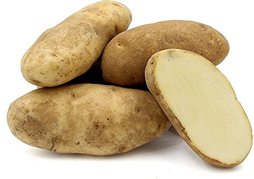 Main Crop Seed Potatoes Golden Wonder, Main Crop Organic Variety,X20 Tubers for Planting.