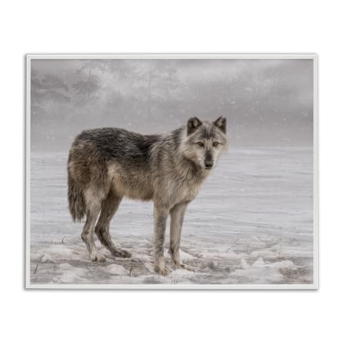 'Lone Coyote Wolf Snowy Field Landscape'| Framed Giclee Art