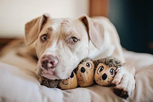 Outward Hound Squeakin' Hedgiez Plush Replacement Dog Toys- 3 Pack #TOP4