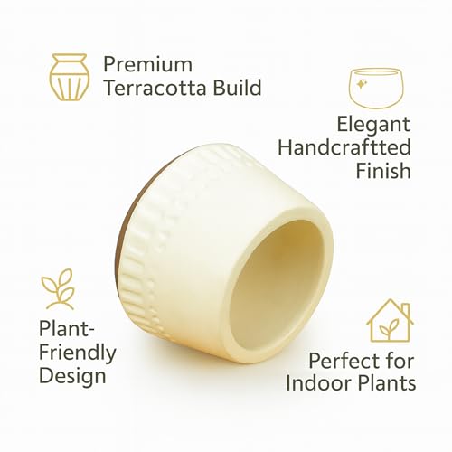 Image of Urban Plant Terracotta Pot - Trendy Planter for Modern Home & Garden Spaces (Majesty Terracotta Pot)