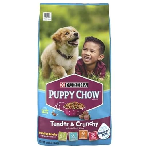 Magnificia Purrina Puppy Chow High Protein Dry Puppy Food, Tender & Crunchy with Real Beef, (30 lb Bag)