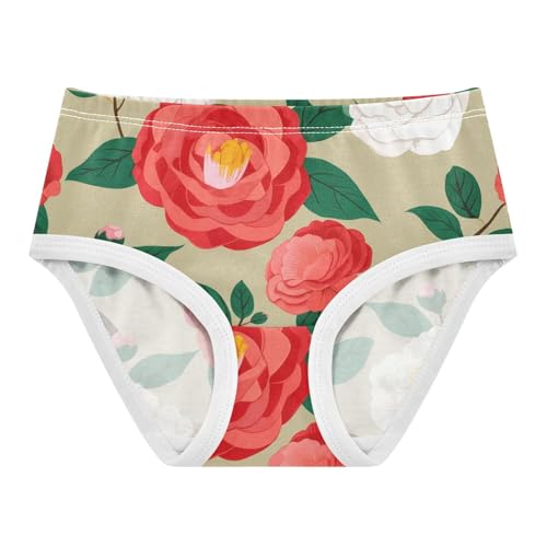Designer Girls Underwear Toddler 2t Cotton Little Girl Panties Red White Pink Floral Light Brown Briefs Kids Undies