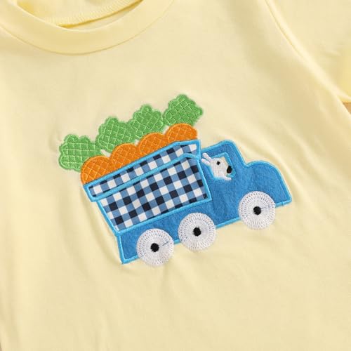 Image of Toddler Baby Boy Easter Rabbit Outfit Short Sleeve Bunny Carrot Smocked T-shirt Elastic Waist Shorts Summer Clothes