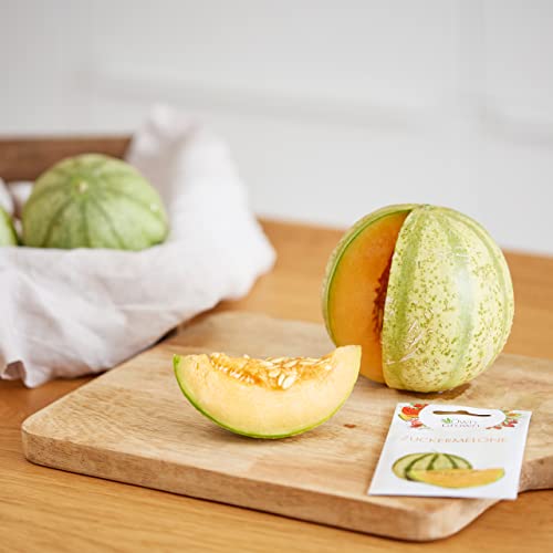 Obst Samen Set: Premium Garten Obst Saatgut mit 8 Sorten Obst Pflanzen für Garten und Balkon – Wassermelone Samen, Erdbeeren Samen, Andenbeere, Rhabarber uvm. – Obstsamen Geschenk Set von OwnGrown – Bild 3