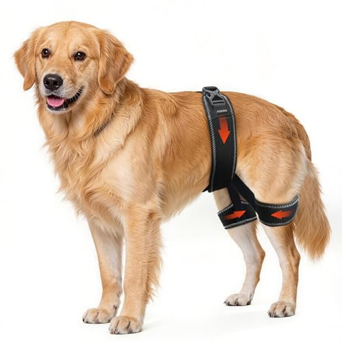 Dog Hip Brace for Hip Dysplasia Adjustable Support Harness for Dogs