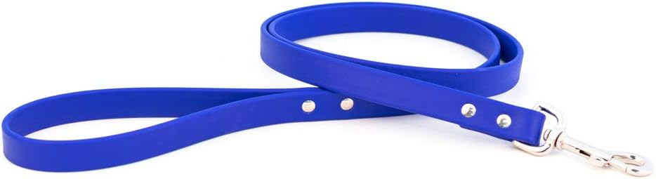 Water-Resistant Canine Leash by Auburn