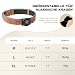 Halsband Hund Leder mit Air Tag Halter, Airtag Hundehalsband IPX8 Wasserdicht,Weich und Bequem, Reflektierend, Verstellbare Polsterung, Geeignet für Mittlere Große Hunde (Braun, L(14'-19.5'))