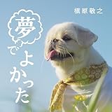 夢でよかった 歌詞