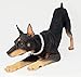 Conversation Concepts Doberman Figurine Black MyDog