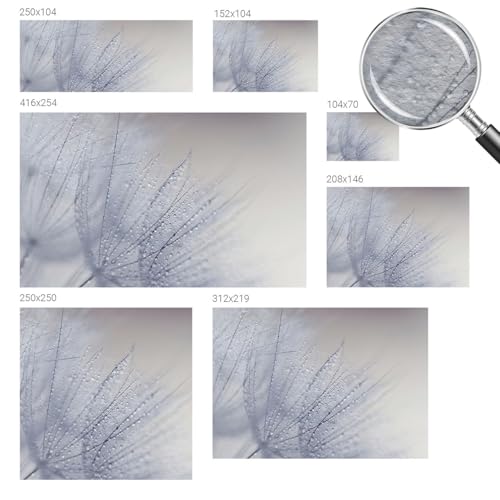 Papier peint pissenlit 250x250 pour masquer les murs ternes - 6