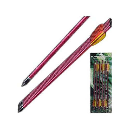 Survival Arrow Equipment Aluminum Red 16" by General Edge