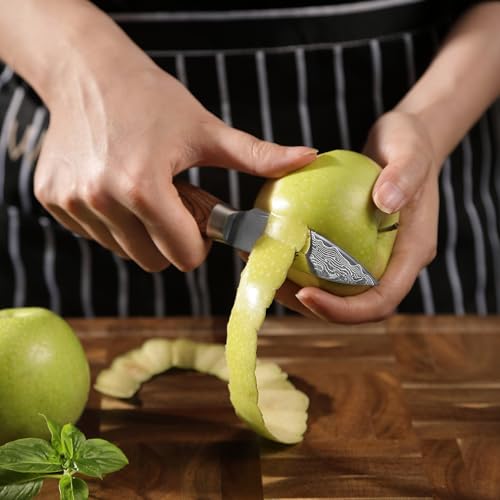 Foto von Wakoli EDIB Pro Damastmesser-Set | 6-teilig, 8–20 cm aus 67 Lagen Damaststahl mit VG10-Kern | ergonomische Pakkaholzgriffe | für Fleisch, Fisch & Gemüse | in Holzbox für Profi- & Hobbyköche