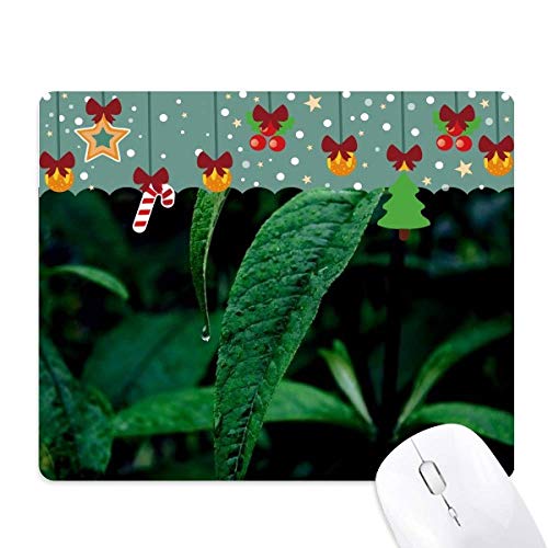 Tapis de souris feuilles en caoutchouc pour sublimer vos séances de photographie