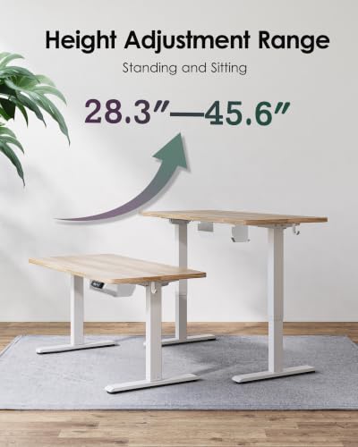 Image of TIQLAB Electric Standing Desk with Cable Tray, 55'' x 24'', Maple
