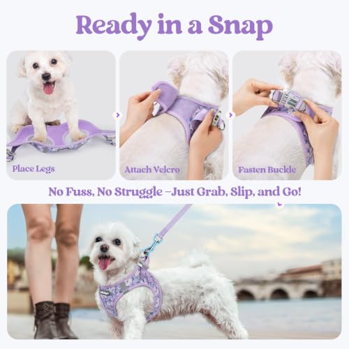 Image of rabbitgoo Dog Harness Medium Sized and Leash Set, Step-in Puppy Pet Vest