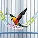 ShengQuanHao Bird Ladder Bridge Bird Cage Accessories Parrot Playstand Activity Center for Hamster, 8 Ladders