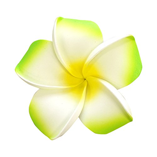  Ԃ̂ Ԃт CeA vA [LTCY/bh]  IuWF ԏ AWAG oG 썑][g nCA t[A[g ʂ܂Ƃߔ [sAi]