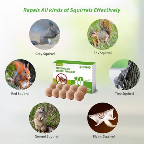 Magic Cat SQ-10 Squirrel Repellent Outdoor thumb #3