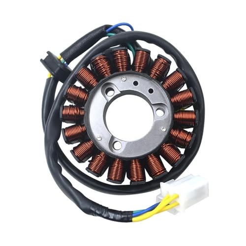 Kit d'assemblage de bobine de stator de générateur de moto GT250 GTR250