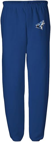 Miniatura 28 de Official Collegiate NCAA Jogger Sweatpants Unisex for Men & Women Primary Logo School Color Collection