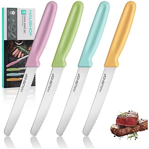 HAUSHOF Steak Knives Set of 4, Serrated Steak Knives, Premium Stainless Steel Steak Knife Set with Gift Box, Assorted Color Cover